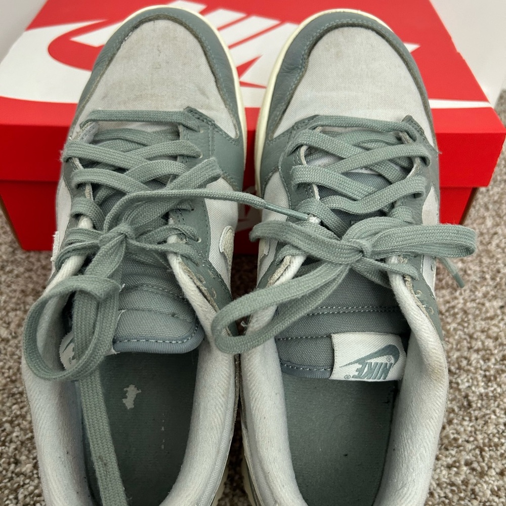 Nike Dunk Low Retro PRM, DV7212 300, size 9.5